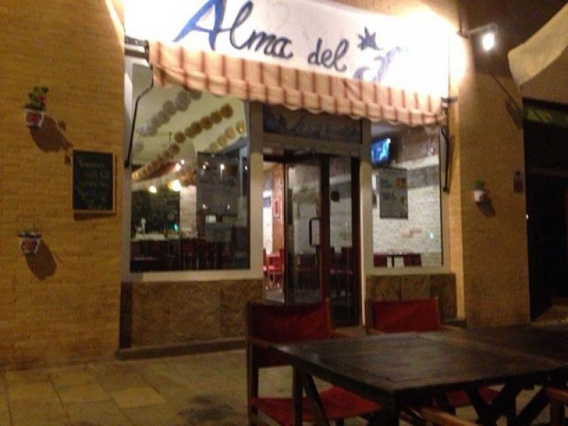 ALMA DEL SUR