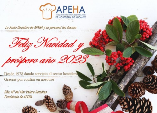 Feliz Navidad y próspero año 2023