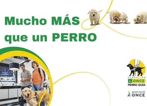 Campaña ONCE : Mucho más que un Perro