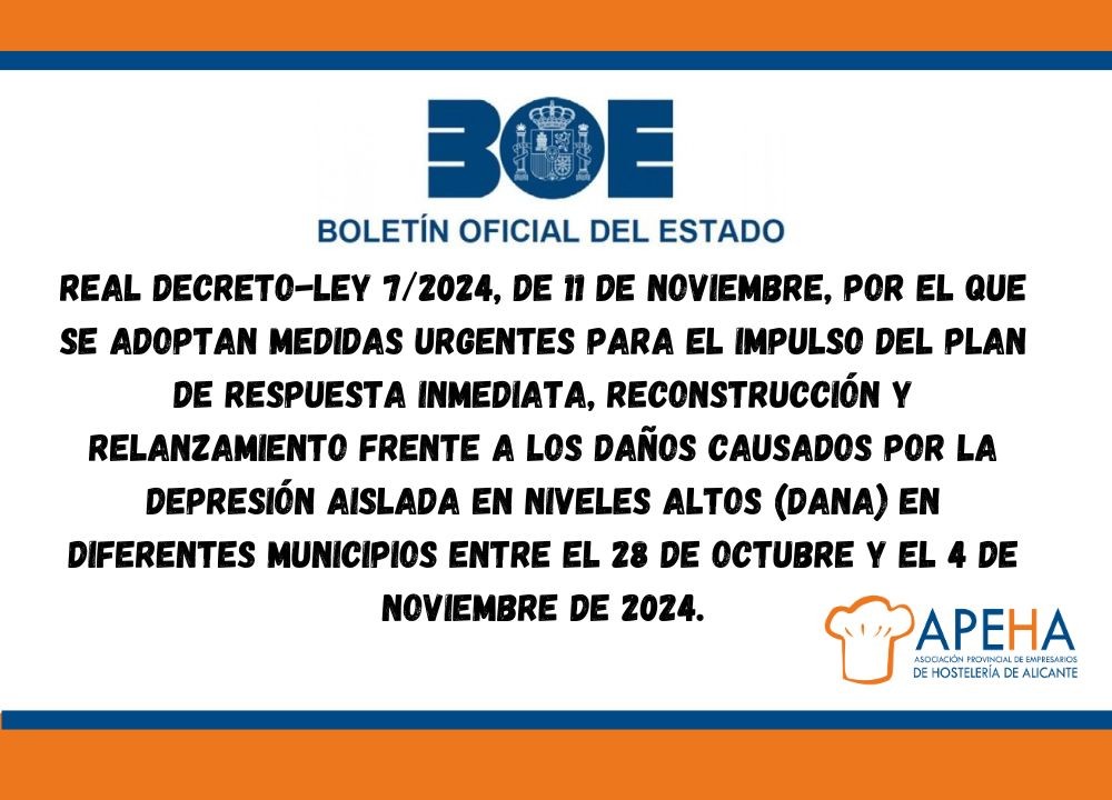 Medidas apoyo de interés empresarial aprobadas por el Real Decreto-ley 7/2024 (BOE 12.11.2024)