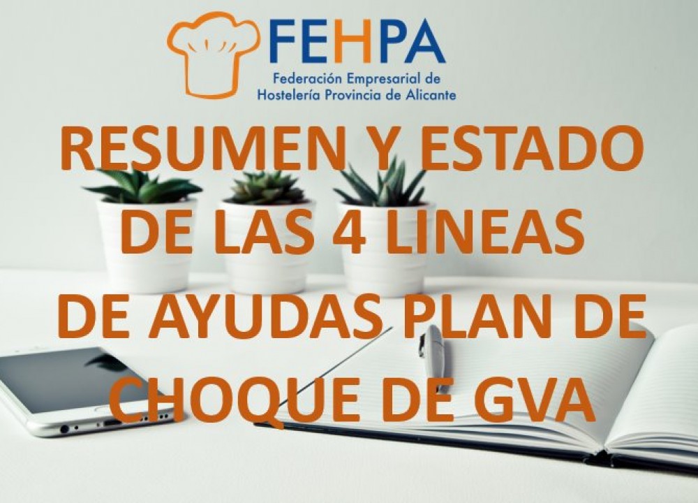 Resumen y estado de las 4 líneas de ayudas Plan de Choque de GVA