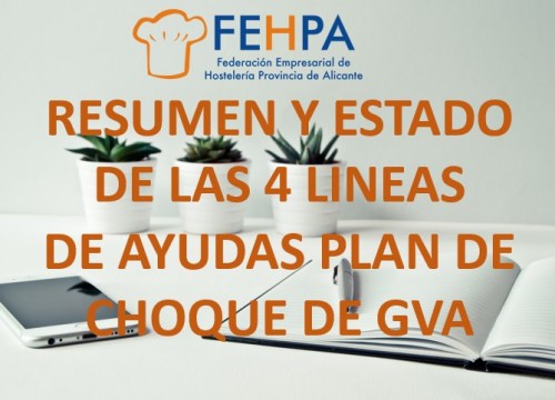 Resumen y estado de las 4 líneas de ayudas Plan de Choque de GVA